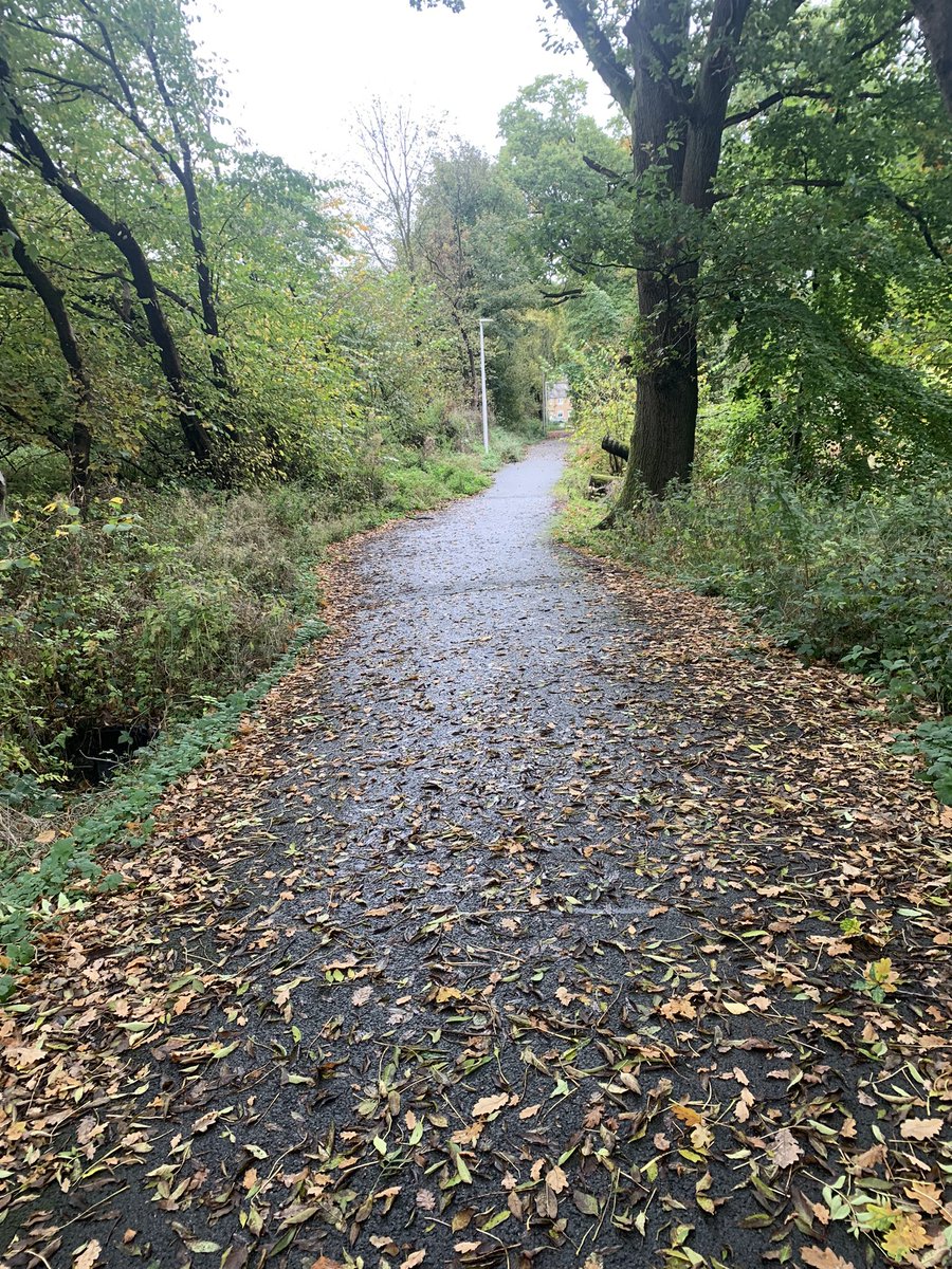 Part of my new routine is a morning walk. All I’m missing is a dog 😂