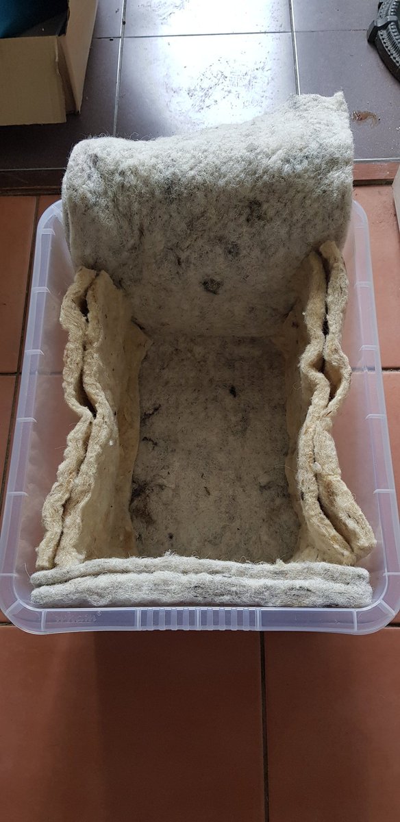 So I had an idea of how to reuse my <a href="/WeAreWoolcool/">Woolcool®</a> packaging that I had saved from a meat box delivery. Anyone know what I am making today. I hope it works.  #letsboxclever #reuse #wool #sustainablepackaging