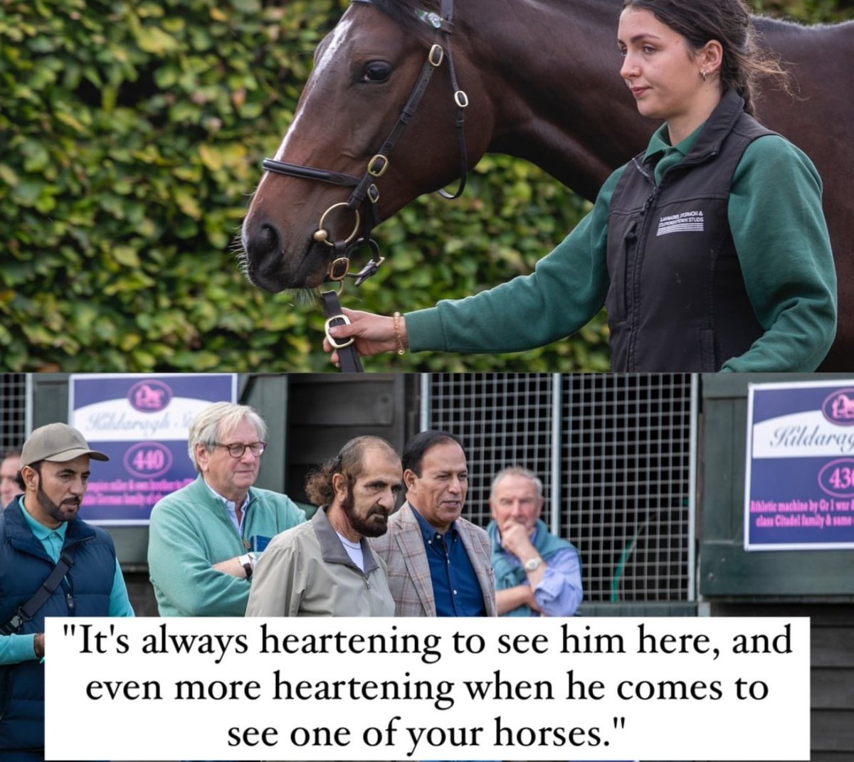 احمد بن طوق tweet media