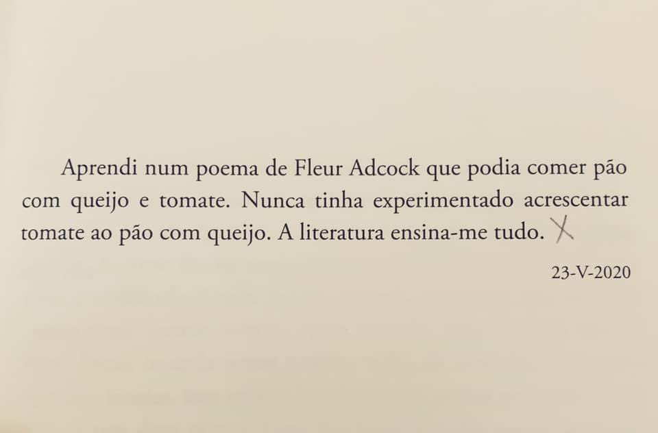 O Poema Ensina a Cair tweet media