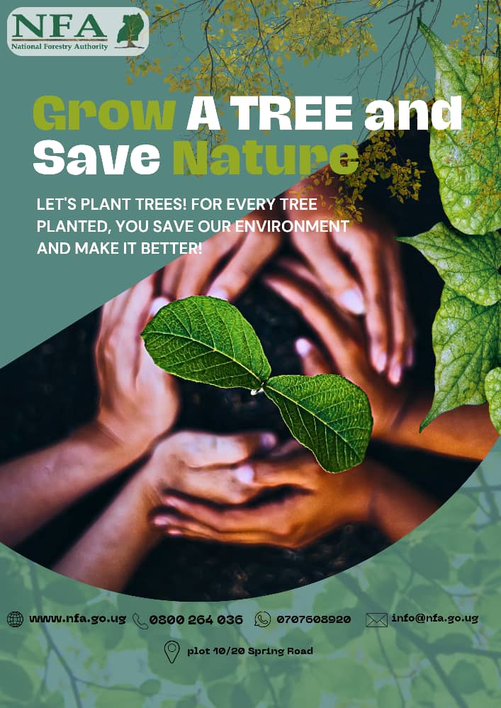 ForestryMgt_MWE's tweet photo. Forest conservation is the practice of planting and maintaining forested areas for the benefit and sustainability of future generations. Lets jealously protect them.  #Forestchat #Treechat https://t.co/zXlRDUXmiy