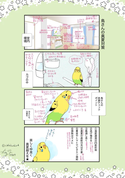@Jaihm88 こちらは夏向けですが、カゴセッティングのサンプルです。
今の時期だと夜だけタオルなどをかけるでも大丈夫ですが、幼い子や老齢鳥はヒーターを入れて28度前後の場所を作ってあげてください。
体調崩したときは30度でも。

それでも改善しない場合は早めに受診を。 