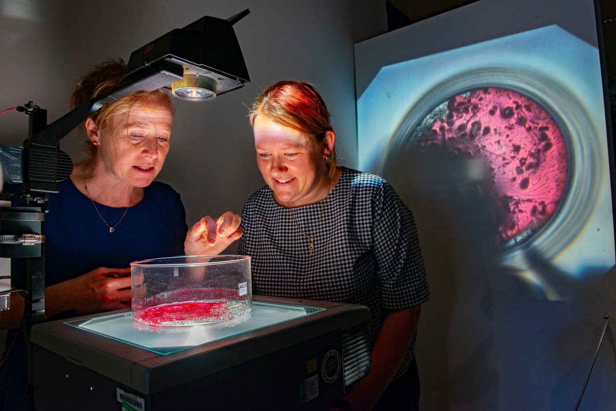 Barnsley Museums tweet media