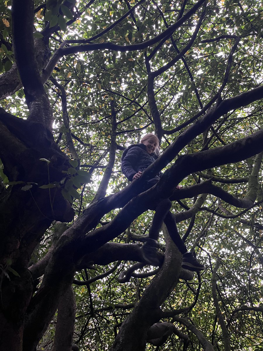 Mr Knight tweet media