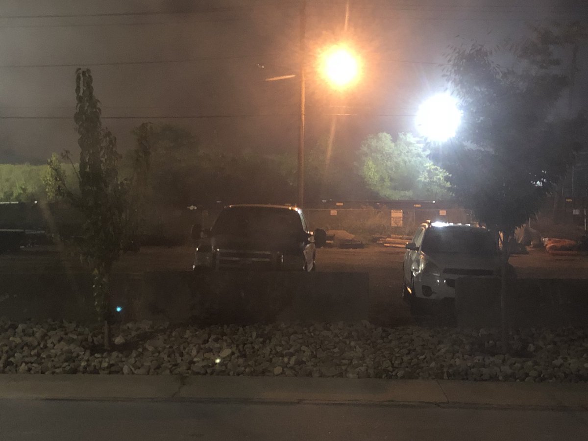 cutedolphin tweet media