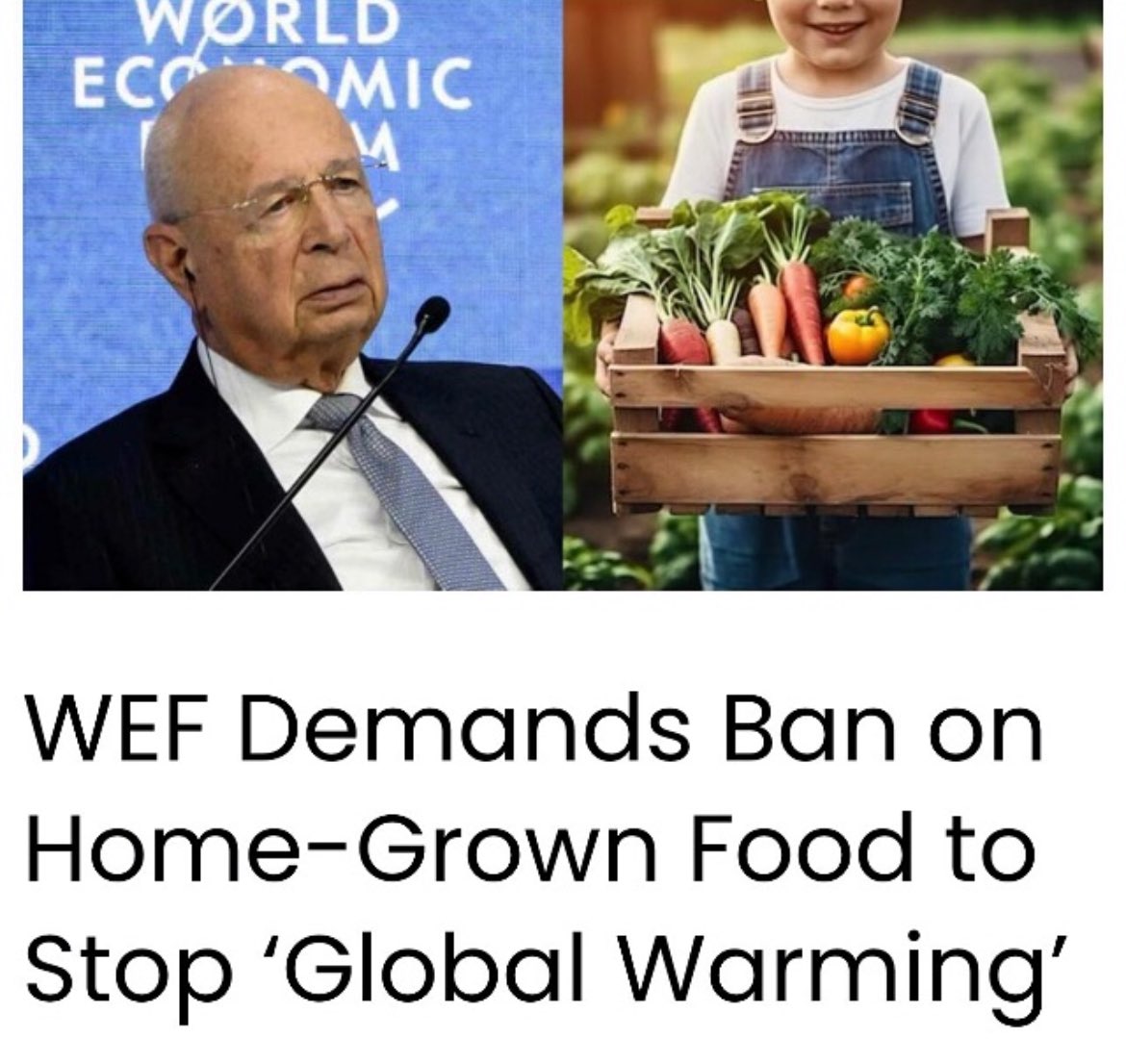 ninnyd101's tweet photo. They came for your chickens now they come for your home grown vegetables,
All in the name of climate change #climateCon #Insanity #WEF #Scumbags #klause https://t.co/hW8wtQjXDv