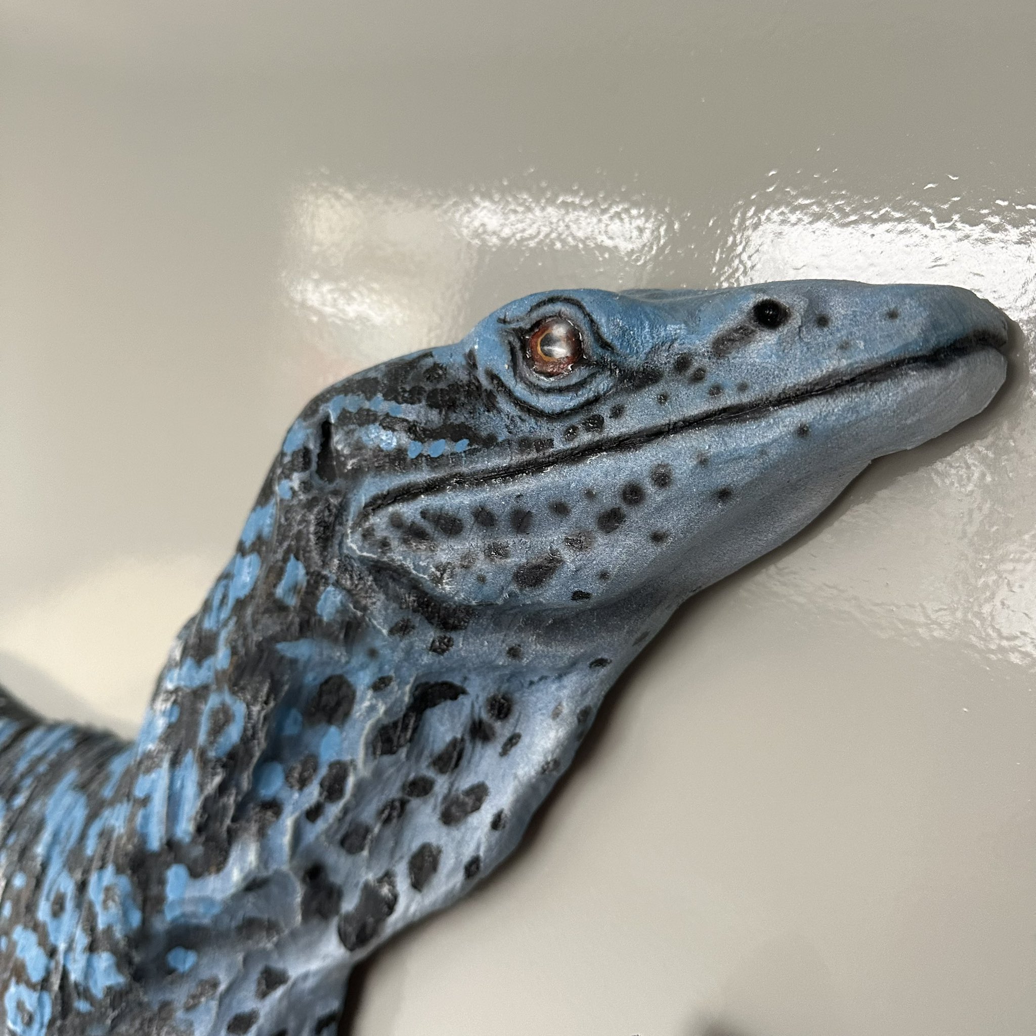 Review fashionable small reptile cages! Easy to maintain and