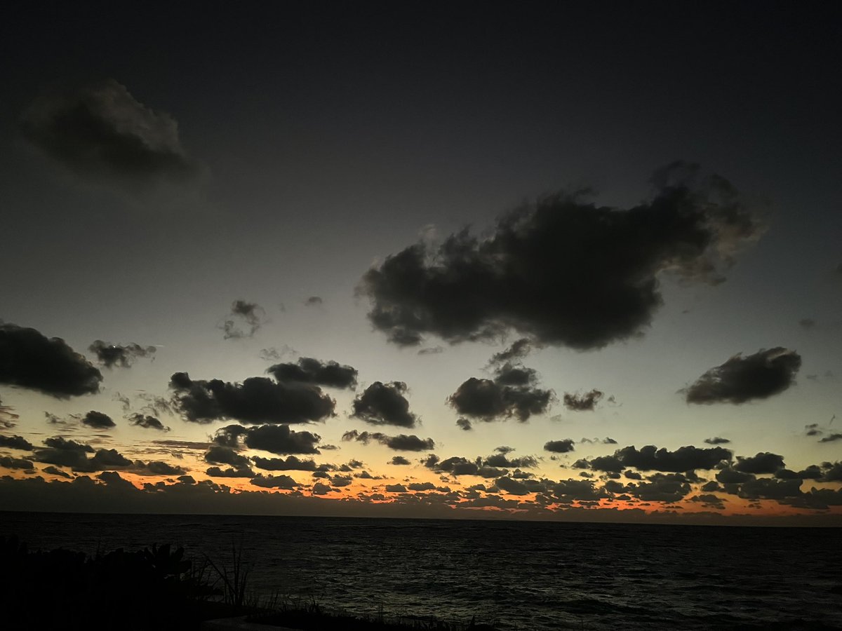 なで肩 tweet media