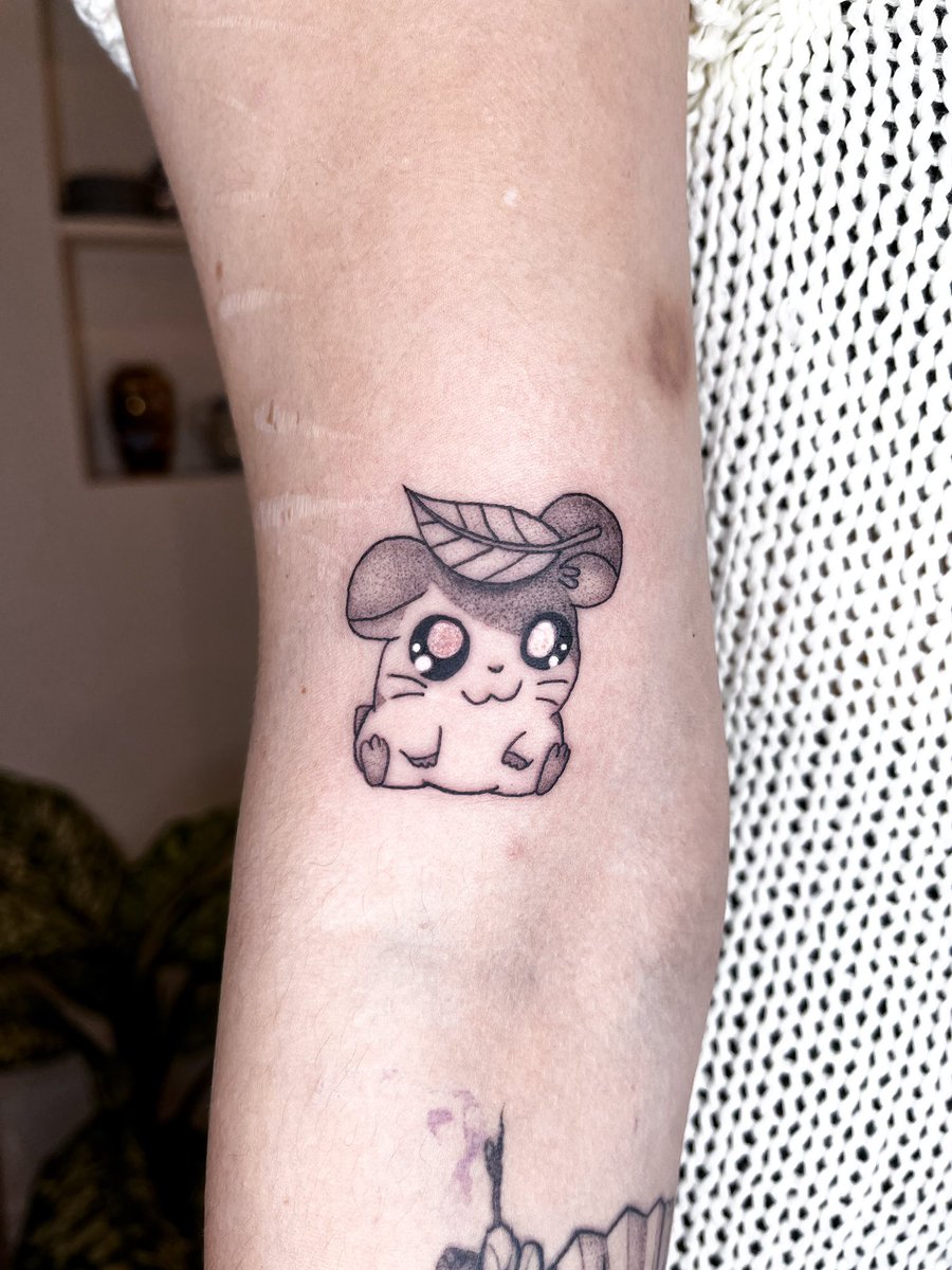 Hamtaro 🥺