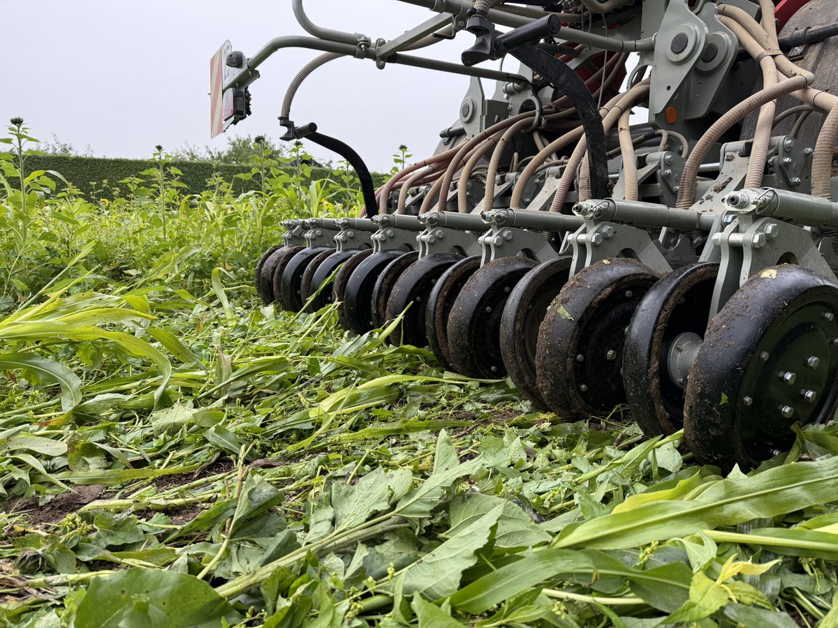 Franz Winkelhofer tweet media