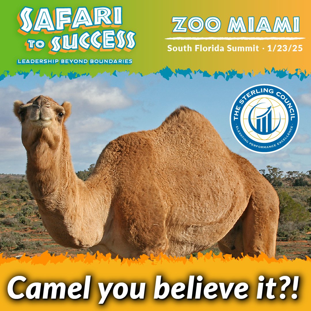 The Sterling Council tweet media