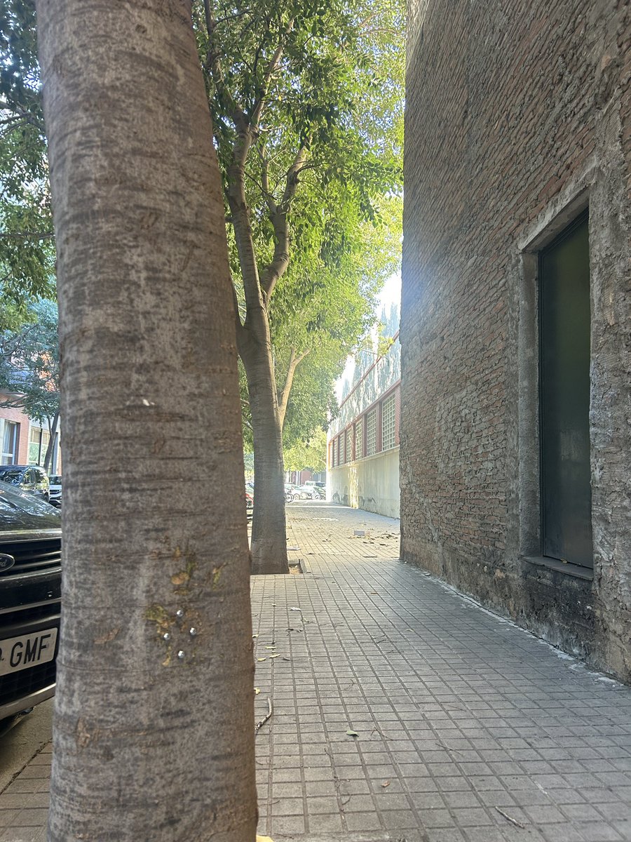 mariagarridos's tweet photo. @antroperplejo Ja no està🥹 https://t.co/QHWZFa7lda