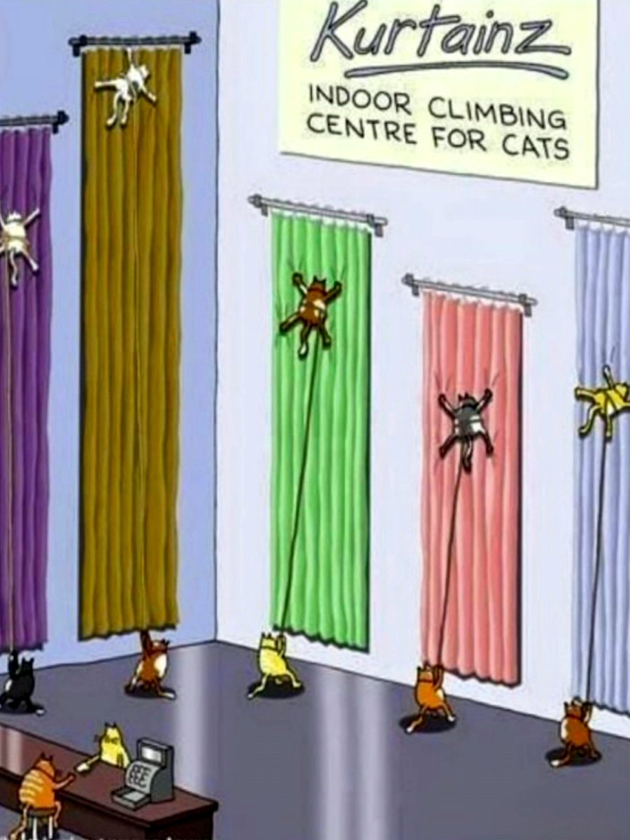 It's time for Pinky and Olly's corny jokes Tuesday BOGOF.

A big thank you to our friend Mimi for sending this one to us.
Pinky and Olly will be back tomorrow. 

#RIPJanet 💜💜💜
#PinkyAndOlly 

❤️❤️❤️🌽🌽🌽❤️❤️❤️