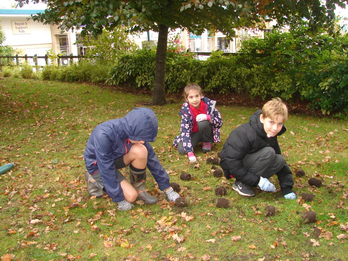 New Oscott Primary tweet media