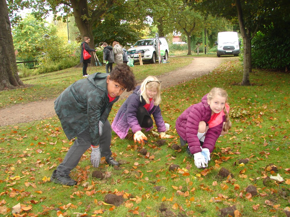 New Oscott Primary tweet media