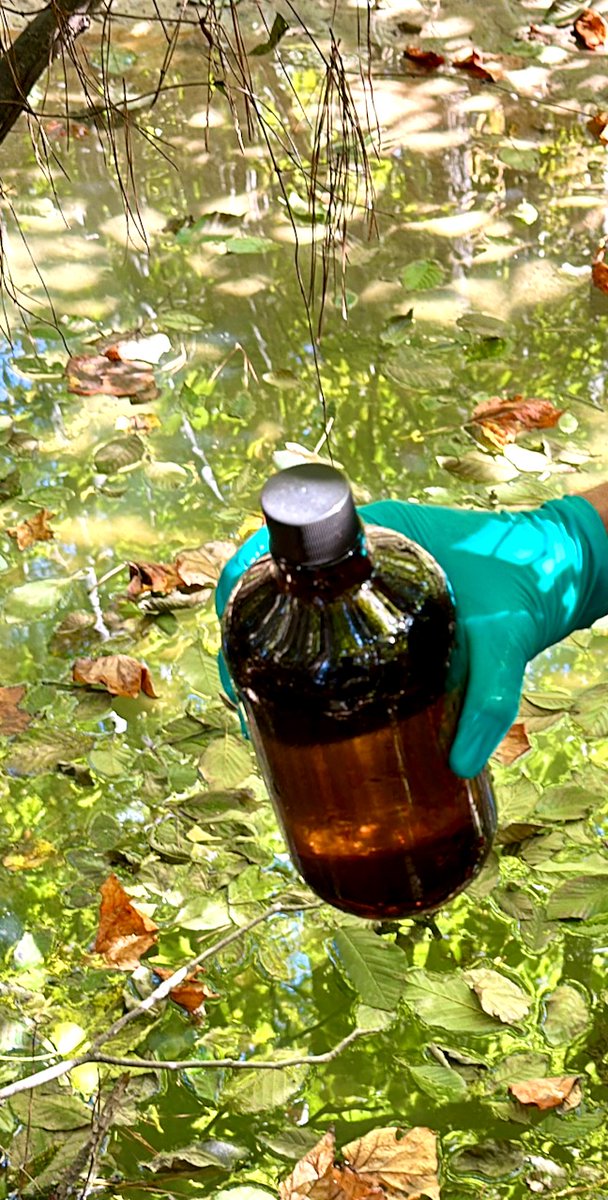 WaterWarriorOne's tweet image. Where we found a dead frog, we sampled the retention pond within 1,500 feet of the #biolab ongoing smoldering fire in #Conyers Georgia.  This is important because it is as close to ground zero as we could get to test for the baseline of chemicals from the #biolabfire . We can…