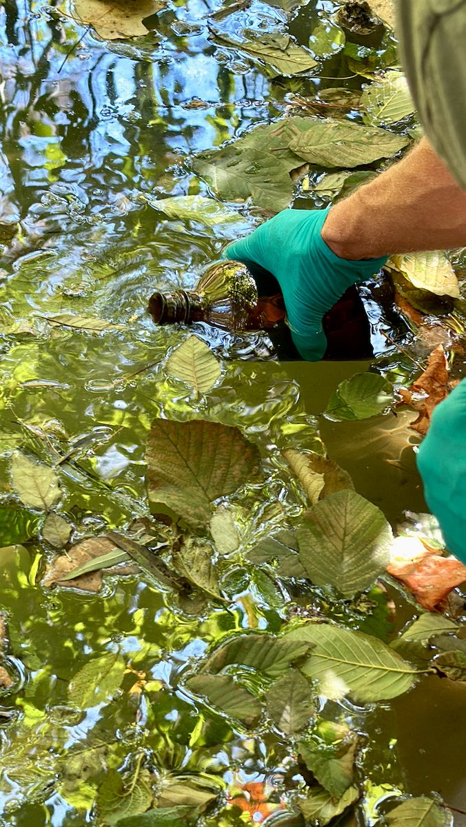 WaterWarriorOne's tweet image. Where we found a dead frog, we sampled the retention pond within 1,500 feet of the #biolab ongoing smoldering fire in #Conyers Georgia.  This is important because it is as close to ground zero as we could get to test for the baseline of chemicals from the #biolabfire . We can…