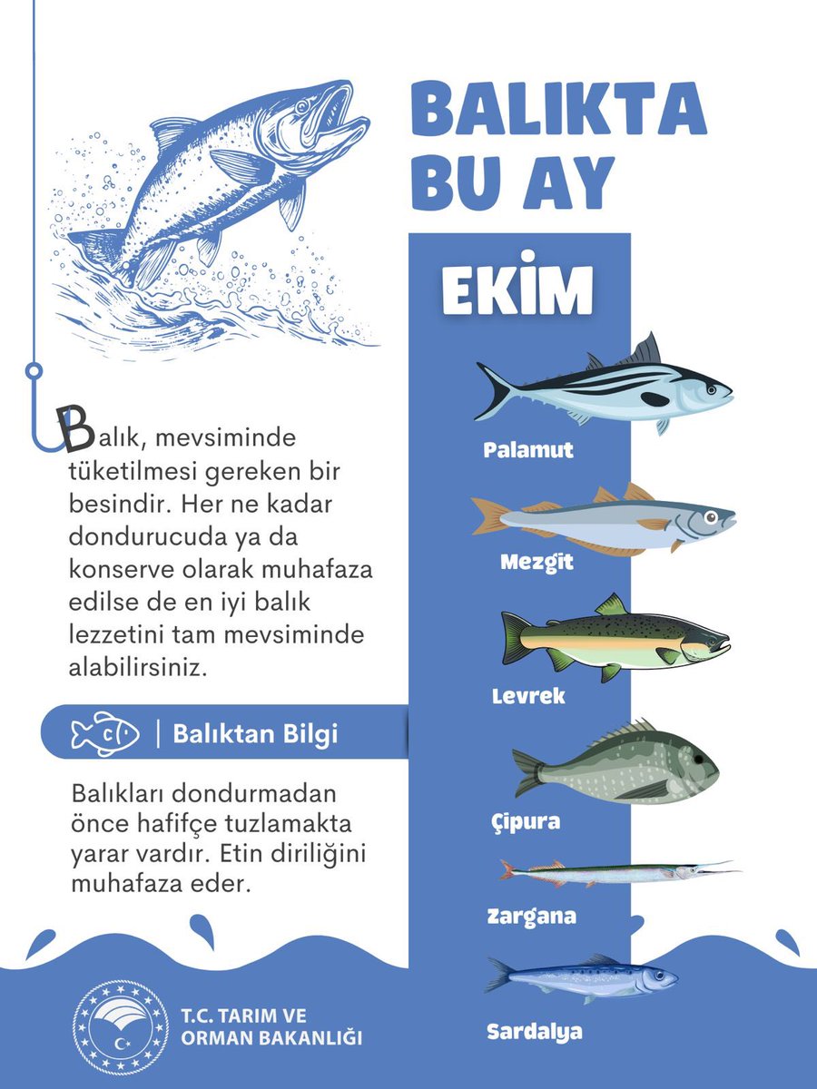 Güne bol omega-3 içeren bir bilgiyle başlayalım. 👀

Ekim ayında hangi balıklar tüketilir? 👇🐟