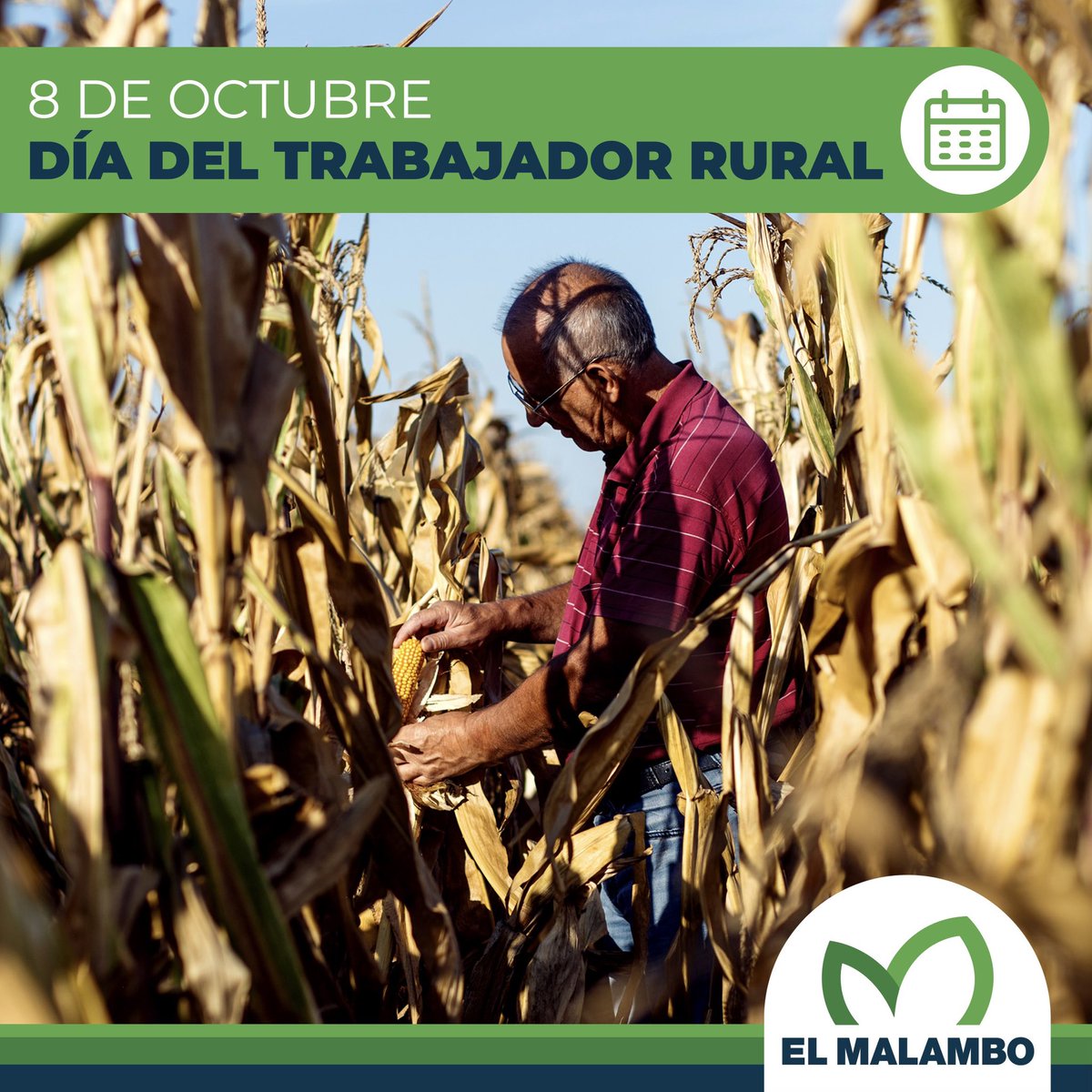 📆 8 de octubre: Día del Trabajador Rural

🧑🏻‍🌾 Hoy celebramos a quienes, con su esfuerzo y dedicación, construyen el corazón de nuestro campo. 

🌾 ¡Feliz día a todos los trabajadores rurales que día a día hacen posible el crecimiento de nuestro sector!.