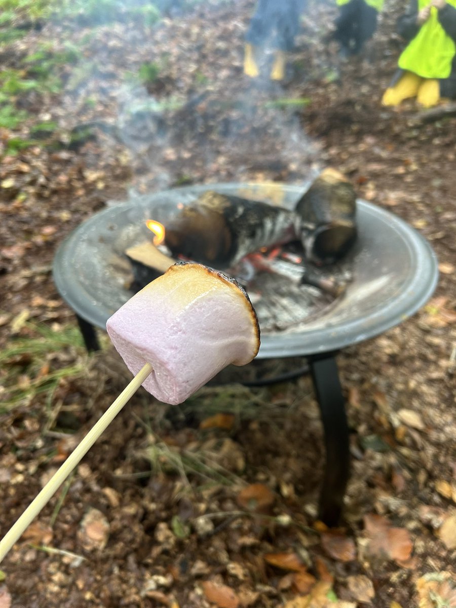 Ms Roche tweet media