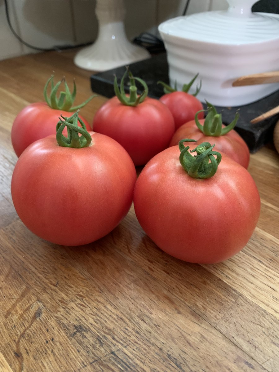 Some decent big tomatoes at last. The larger varieties have taken an age to ripen this year.