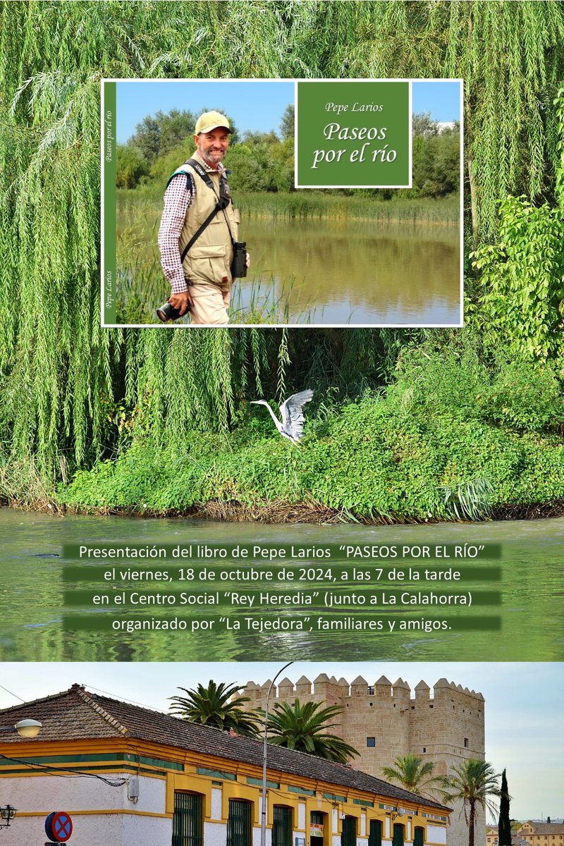 Giulia Re tweet media