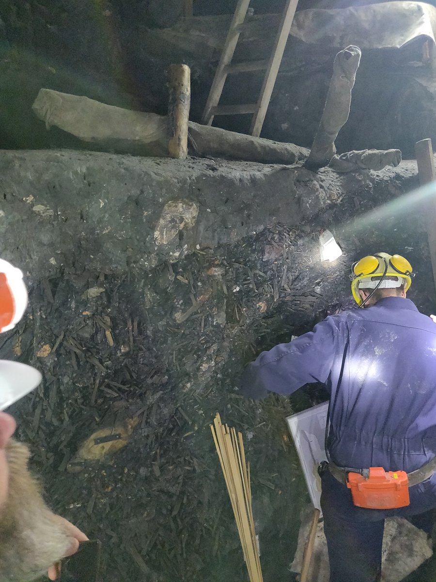 Emilympigott's tweet photo. @HeasVienna trip to Hallstatt. Super interesting to see the Bronze and Iron Age excavations inside the mine! Thanks to the organisers and guides ! #Hallstatt #Archaeology #HEAS https://t.co/ooXv2dWUqO