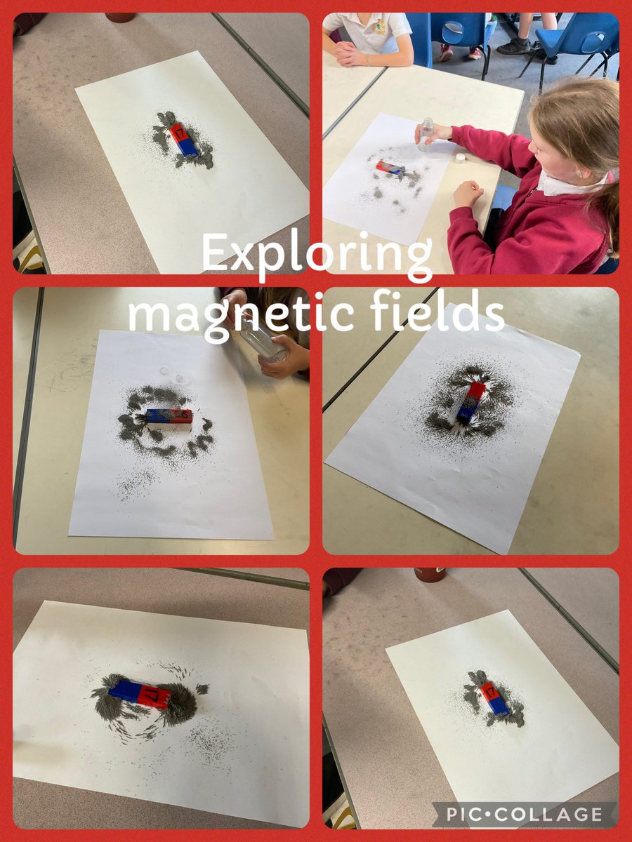 Cross Ash Primary tweet media