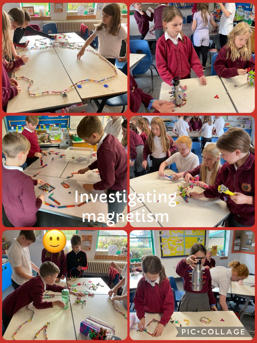 Cross Ash Primary tweet media