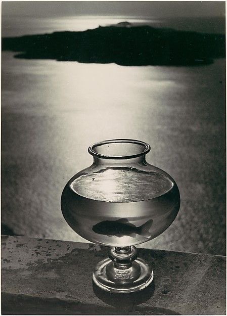 ImSophiaPLMS's tweet photo. Il test di Solomon Asch:
l'esser parte di un gruppo è una condizione che tende a modificare le azioni e finanche i giudizi e le percezioni visive di una persona; pensiamo con la nostra testa

#Infoto Herbert List, the goldfish bowl - Rho Metropolitan Museum of art https://t.co/gqSJgPoVyL