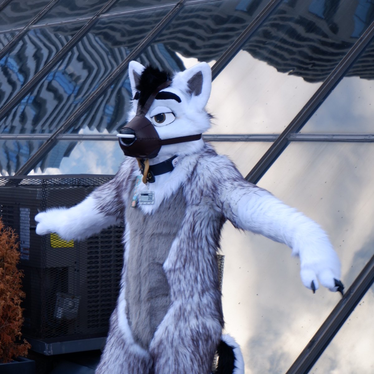 hroar (@hroardog) on Twitter photo I better post all these old pics from <a href="/FurnalEquinox/">Furnal Equinox</a> (before the suit had additional shading changes :P)
📷: <a href="/Sabre_Dragon/">Sabre Dragon</a>, <a href="/Rictar_Rat/">🌻Rictar🌻🔜 FE</a>, & Kadmus
#YCHewsday I better post all these old pics from <a href="/FurnalEquinox/">Furnal Equinox</a> (before the suit had additional shading changes :P)
📷: <a href="/Sabre_Dragon/">Sabre Dragon</a>, <a href="/Rictar_Rat/">🌻Rictar🌻🔜 FE</a>, & Kadmus
#YCHewsday