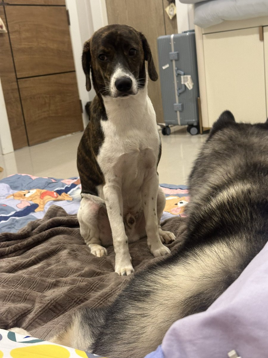 เป็นไรอ่ะ ทำมัยทำหน้างั้น🤣