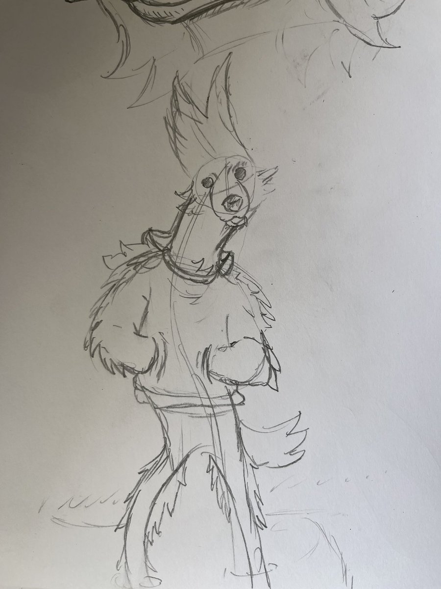 Moved to BSky Loko tweet media