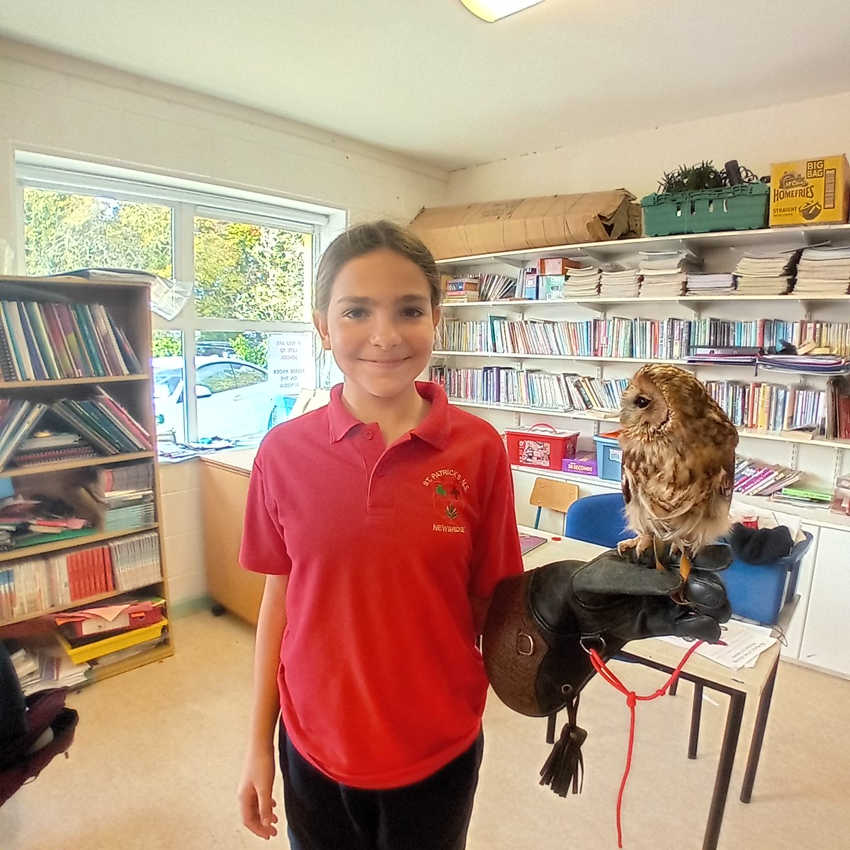 MsWalker277744's tweet photo. Yesterday 5th class had a Birds of Prey Workshop. They got to meet a Harris Hawk and four different types of owls. https://t.co/Tlhgf0klFF