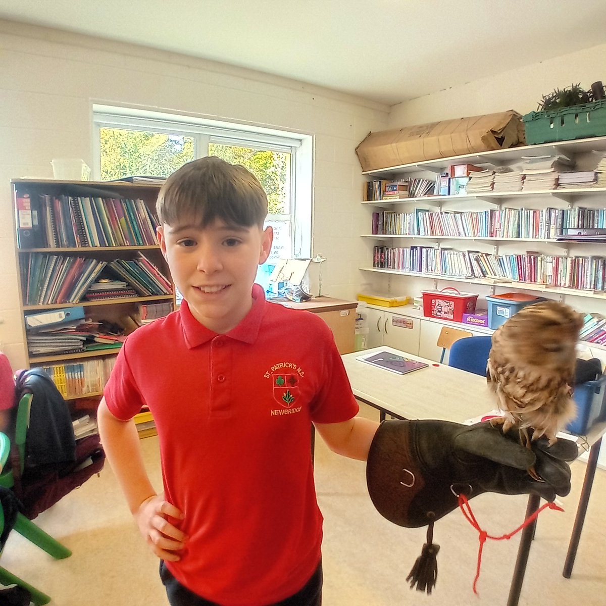 MsWalker277744's tweet photo. Yesterday 5th class had a Birds of Prey Workshop. They got to meet a Harris Hawk and four different types of owls. https://t.co/Tlhgf0klFF