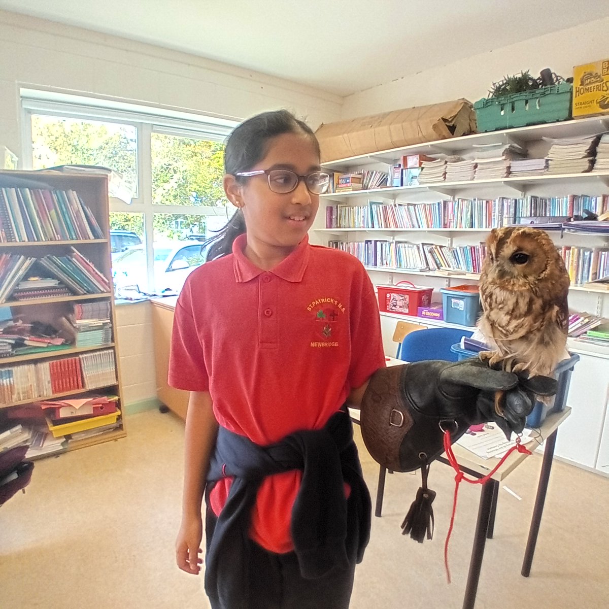 MsWalker277744's tweet photo. Yesterday 5th class had a Birds of Prey Workshop. They got to meet a Harris Hawk and four different types of owls. https://t.co/Tlhgf0klFF