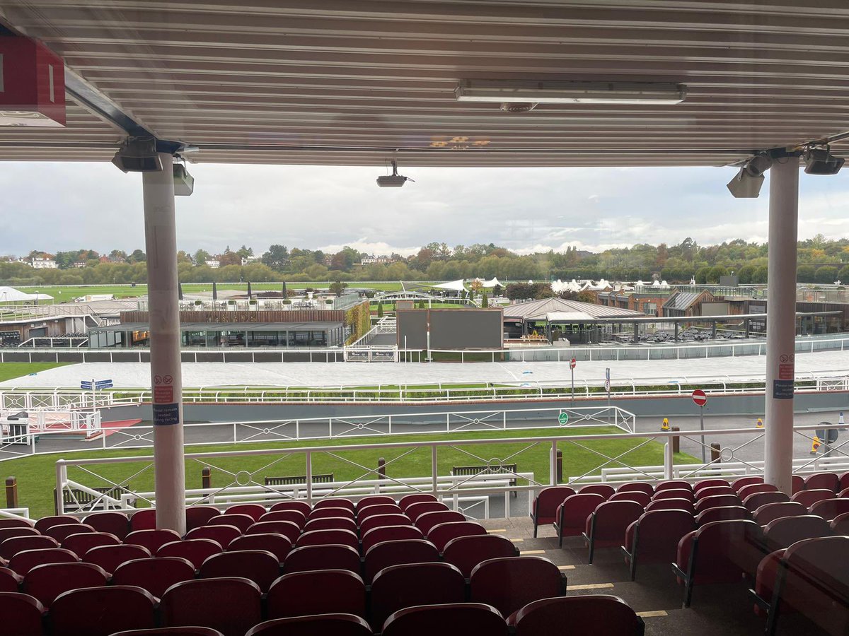 MediqUK's tweet photo. It’s high odds for a great day at the BLS Conference! #biocompression is the front-runner for managing Lymphoedema from home. #BLS2024 #kliniderm #zorflex #Nosa #Chesterracecourse https://t.co/dNWRuRbjt3