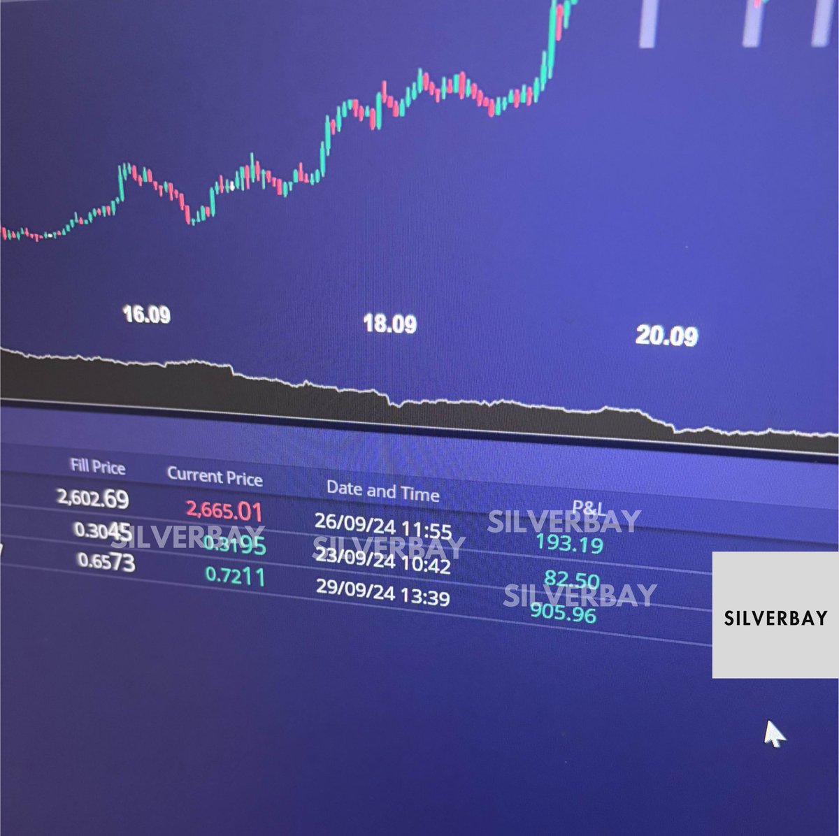 Silver Bay 銀灣 tweet media