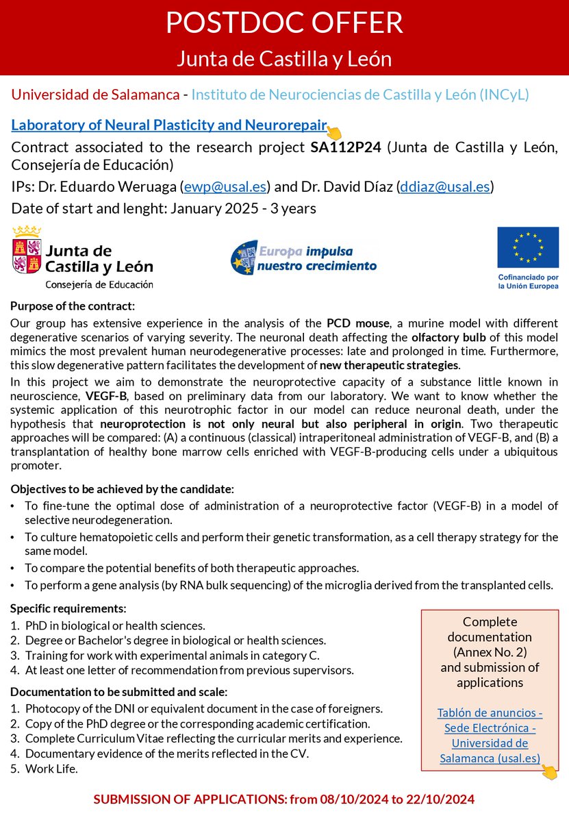 Incyl_Usal's tweet photo. 🔬 Postdoctoral Position at INCYL 🔬
Join our research project SA112P24 funded by the Junta de Castilla y León!
Supervised by PIs Dr. Eduardo Weruaga &amp; Dr. David Díaz.
📅 Application period: October 8-22
🔗 More info: https://t.co/zkW5DlSVFk https://t.co/nVrEub33QU