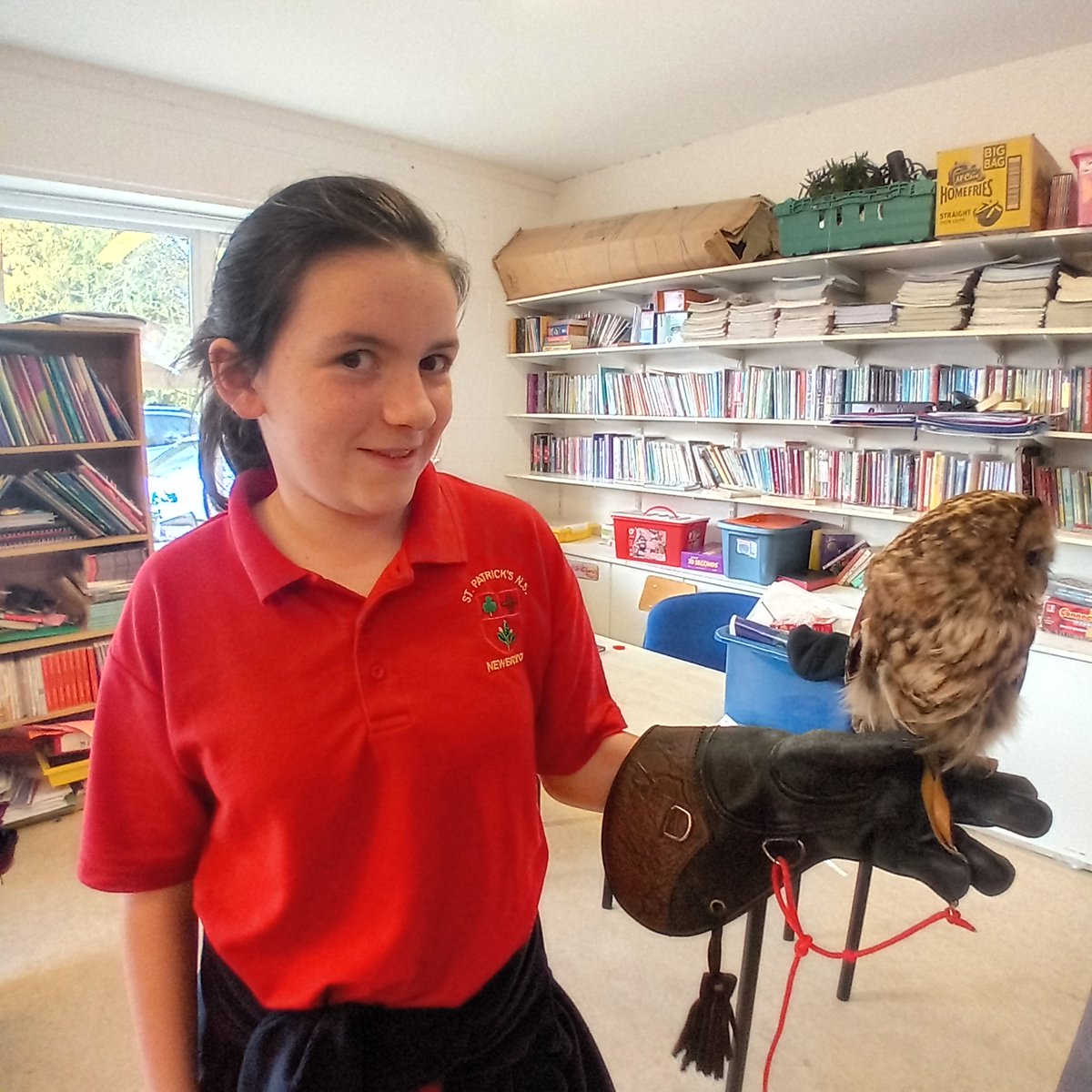 MsWalker277744's tweet photo. 5th Class got to meet a Tawney Owl a Great Grey Owl a Little Owl a Barn Owl and a Scops Owl. https://t.co/KmzgLGdth8