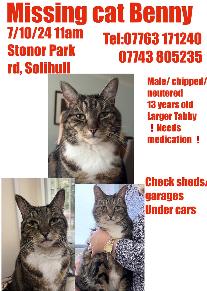 ❗️Missing cat ❗️
Please share for my brothers cat Benny. Missing 7/10/24 from #Solihull . He’s 13 &amp; needs medication. Very out of character 😢🙏🏼 
#cats