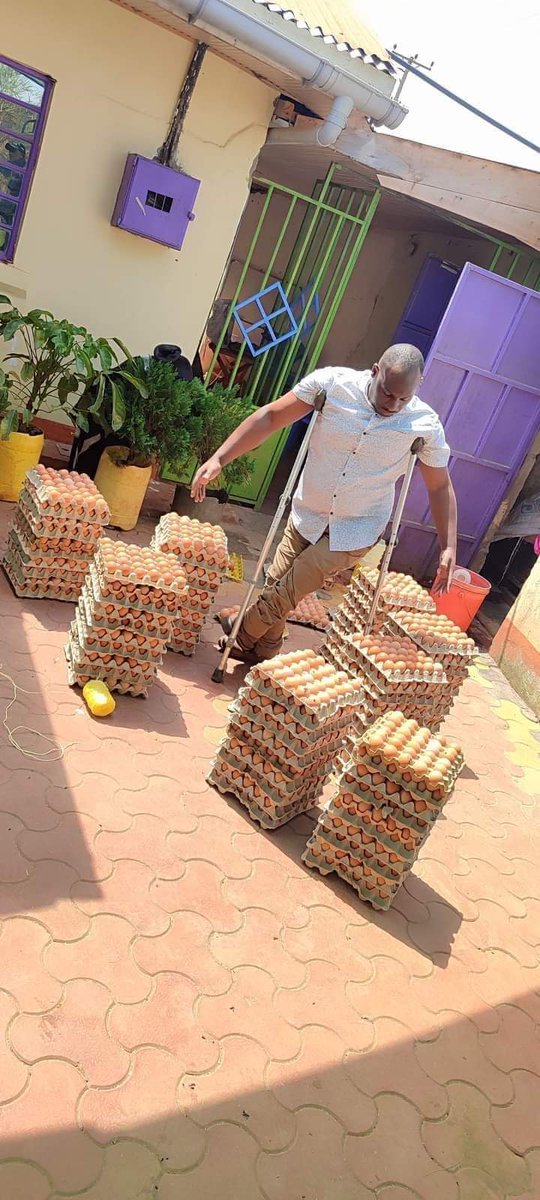 EmmyGisa3's tweet image. Great Inspiration from our brother  Samuel writes👇

&quot;Each layer bird can lay approximately 300+ eggs in 60 weeks,
I have 1000 birds, and get more than 300,000 eggs per year.

In  my area, an egg is k4 and with 300,000 eggs,  I can make K1,200,000&quot;

#DisabilityIsNotInability