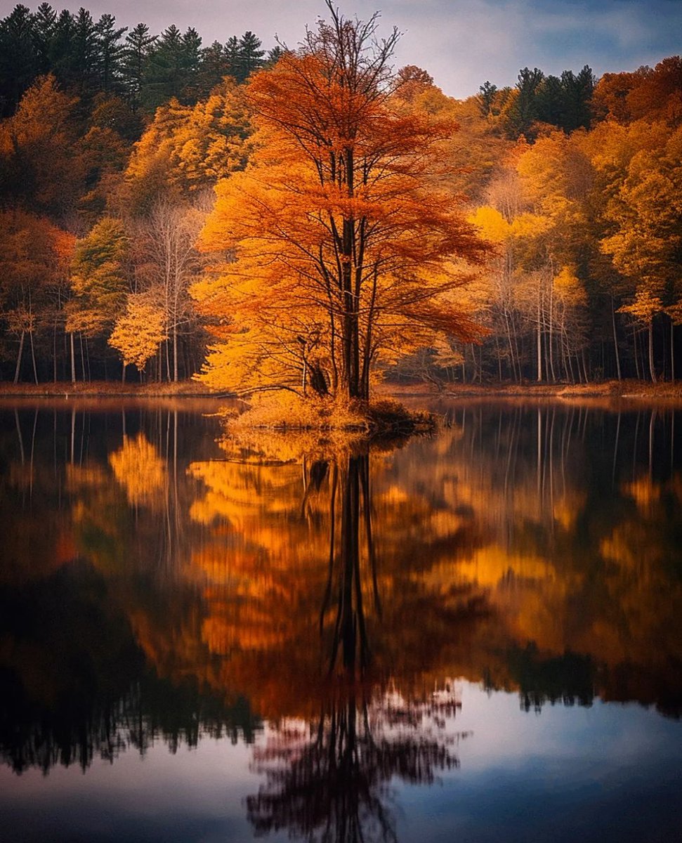 Good morning 🍁🍂