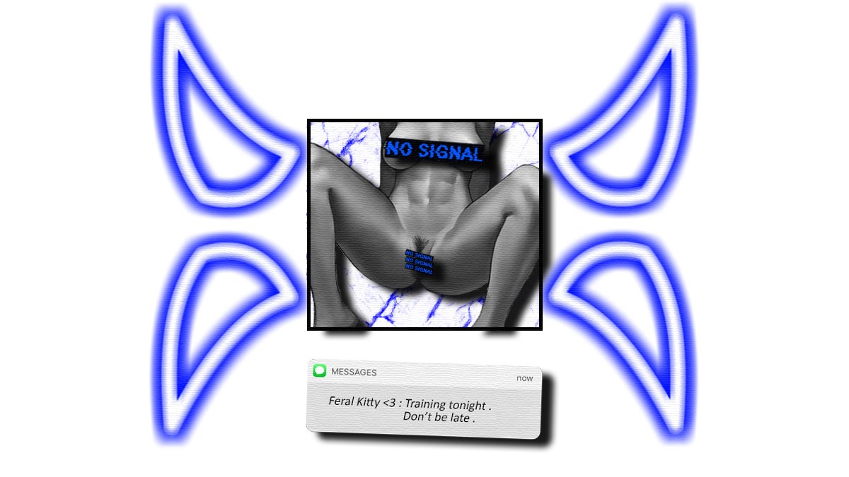 『 ◈ 』┆𝕿𝖆𝖏𝖌𝖆┆ tweet media