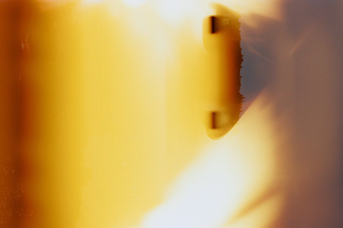 Day 8 : Jaune #31themesAnalogChallenge