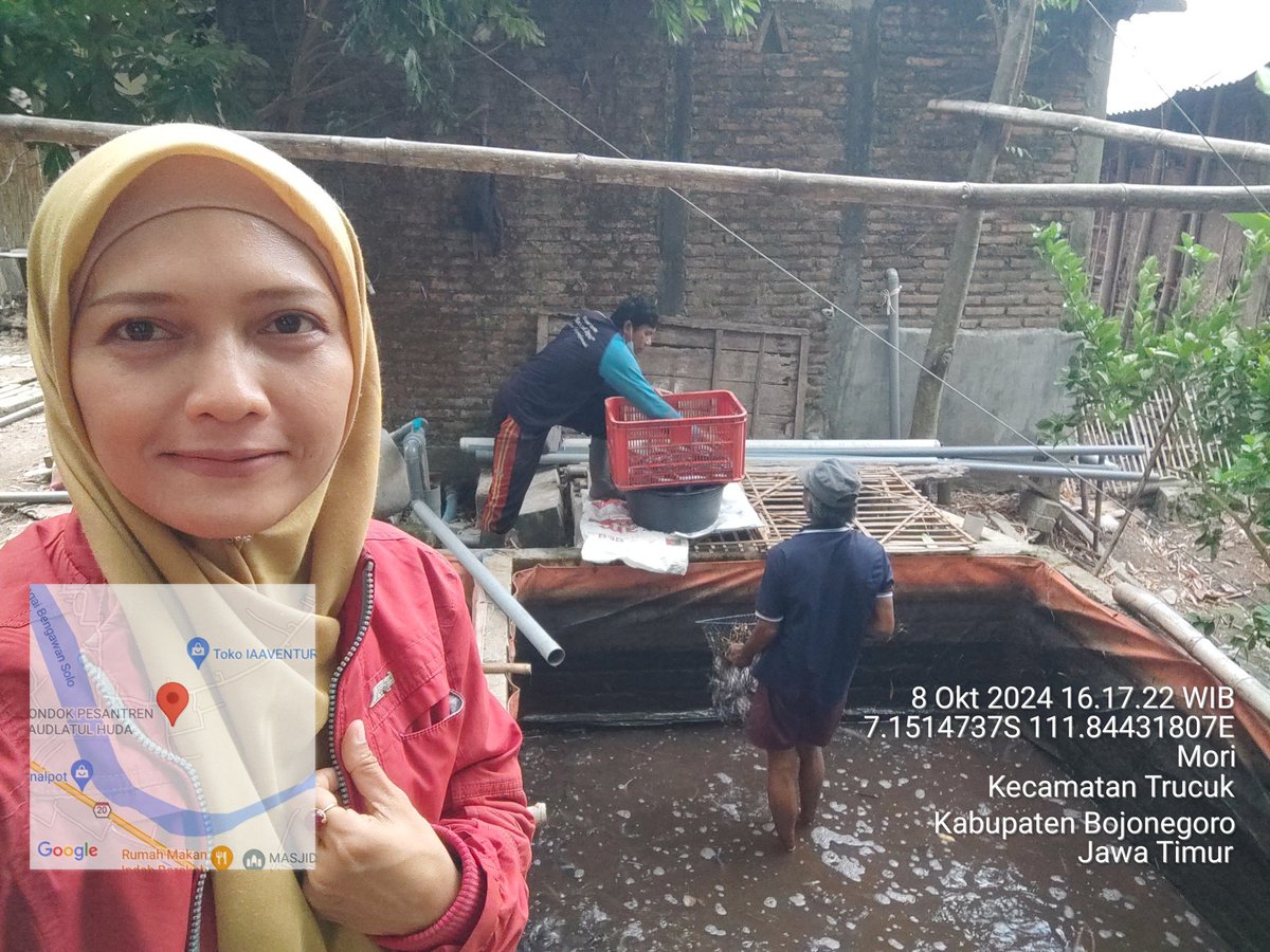 bett_alqi's tweet photo. Selasa (8/10), Baiti, Luhkan Bojonegoro, mendampingi #panen Lele di Bpk Kundhori (Ds. Mori), teknologi sederhana, sebanyak 158 kg, kolam terpal luas 15 m², size 8 - 12 ek/kg, harga Rp. 19.000/kg
#GiatLuhkanSatminkalBWI
#Bnegoro 
@pusluhkp
@bppsdm_bp3bwi https://t.co/hQvZaTMGuJ