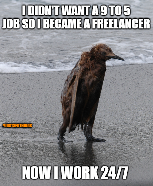 justSEOthings's tweet photo. True That!!

#seomemes #Justseothings #Freelancer #Freelancermemes #BusinessOwners #DigitalMarketing #Marketers #OnlineMarketers #Freelance #Upwork https://t.co/EeXHJ3iWYb