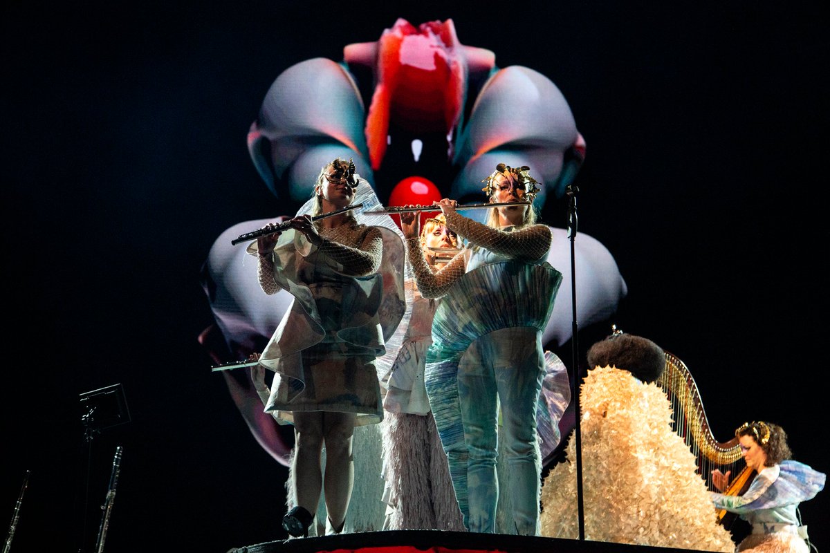 björk tweet media