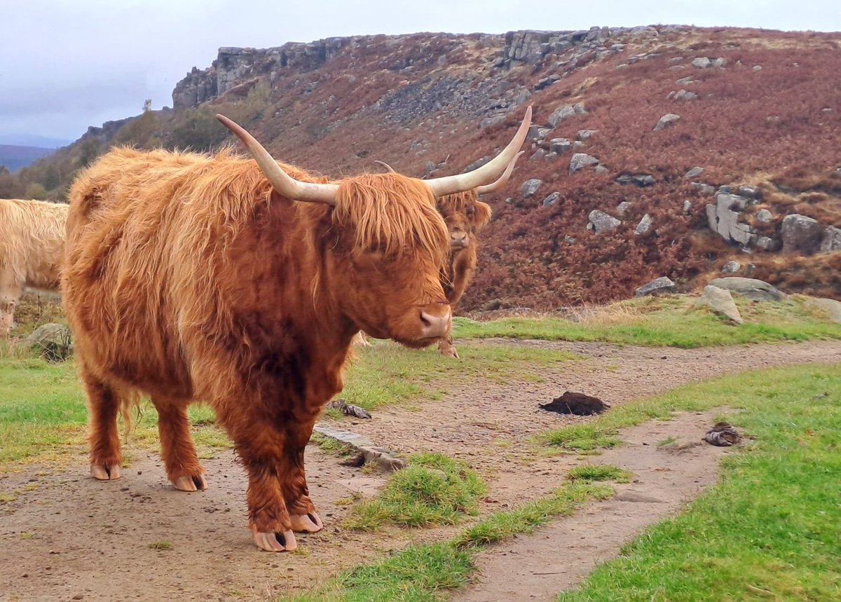 KTS DofE tweet media