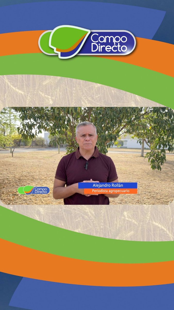 El poder de compra de la #soja y del #ternero, en relación a algunos bienes de capital, está por debajo del promedio de hace cinco años, pero la leche es la única fortalecida.

<a href="/alerollan/">Alejandro Rollán</a>  <a href="/FIFRA_ARG/">FIFRA</a>   <a href="/consignacba/">Consignaciones Córdoba SA</a> <a href="/MinAgriCba/">Ministerio de Bioagroindustria de Córdoba</a>   <a href="/Ibettini/">Iván Bettini</a> 
campodirecto.com.ar/los-granos-y-l…